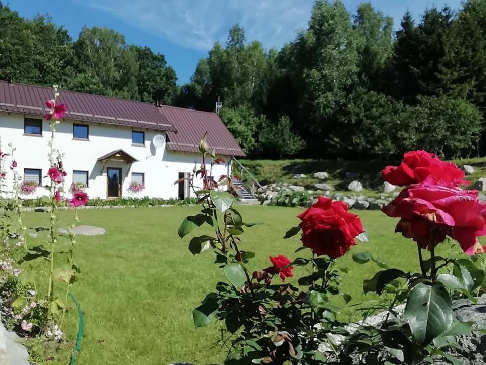 Agrowinnica Borzytuchom Extérieur photo